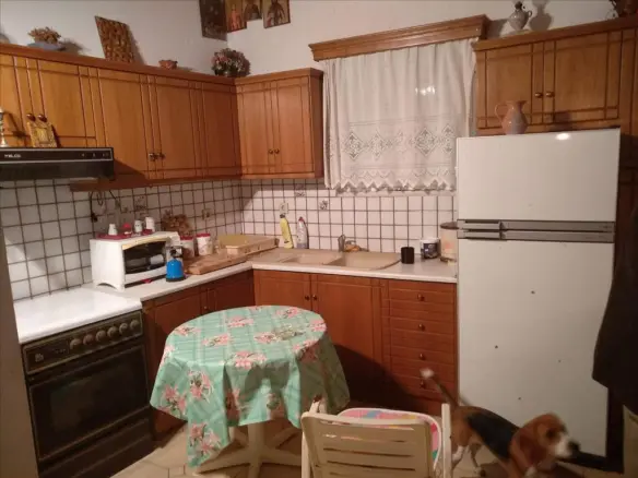 Detached House Of 95 M² In Central Greece