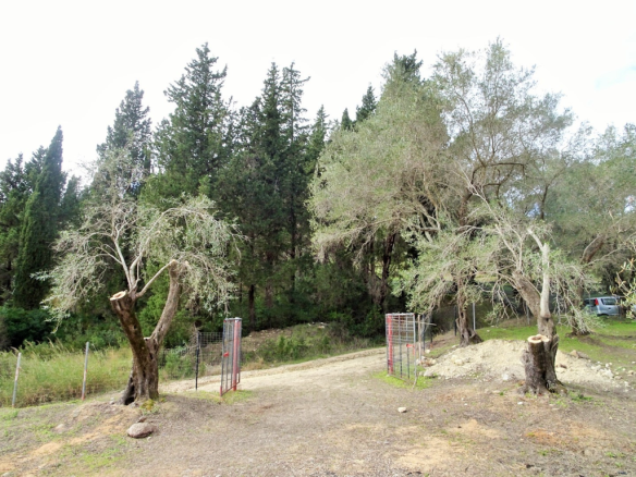 Detached House In Corfu, Greece (240 M²)