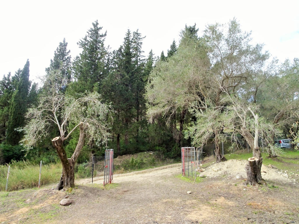 Detached House Of 240 M² In Corfu