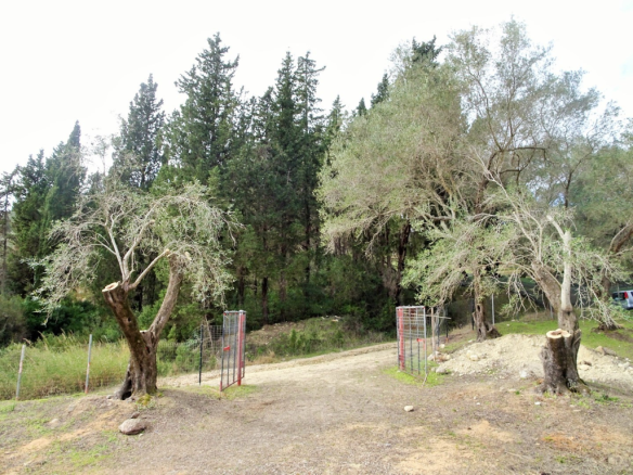 Detached House In Corfu, Greece (240 M²)