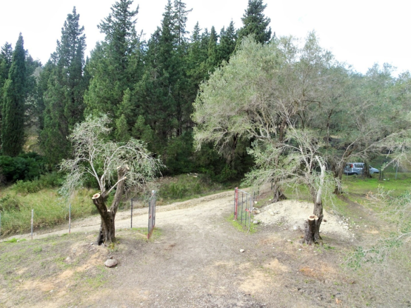 Detached House In Corfu, Greece (240 M²)