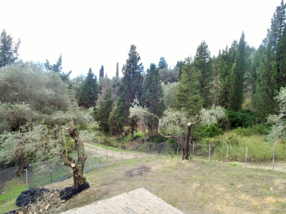 Detached House In Corfu, Greece (240 M²)