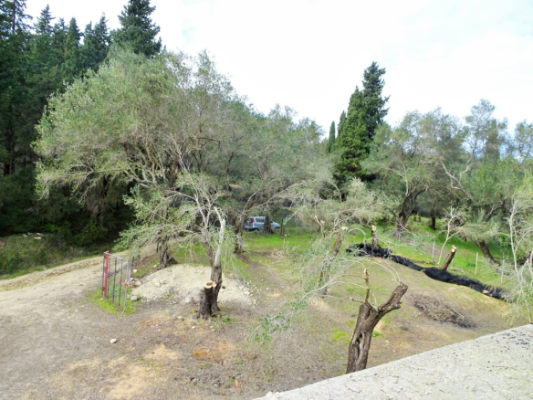 Detached House In Corfu, Greece (240 M²)