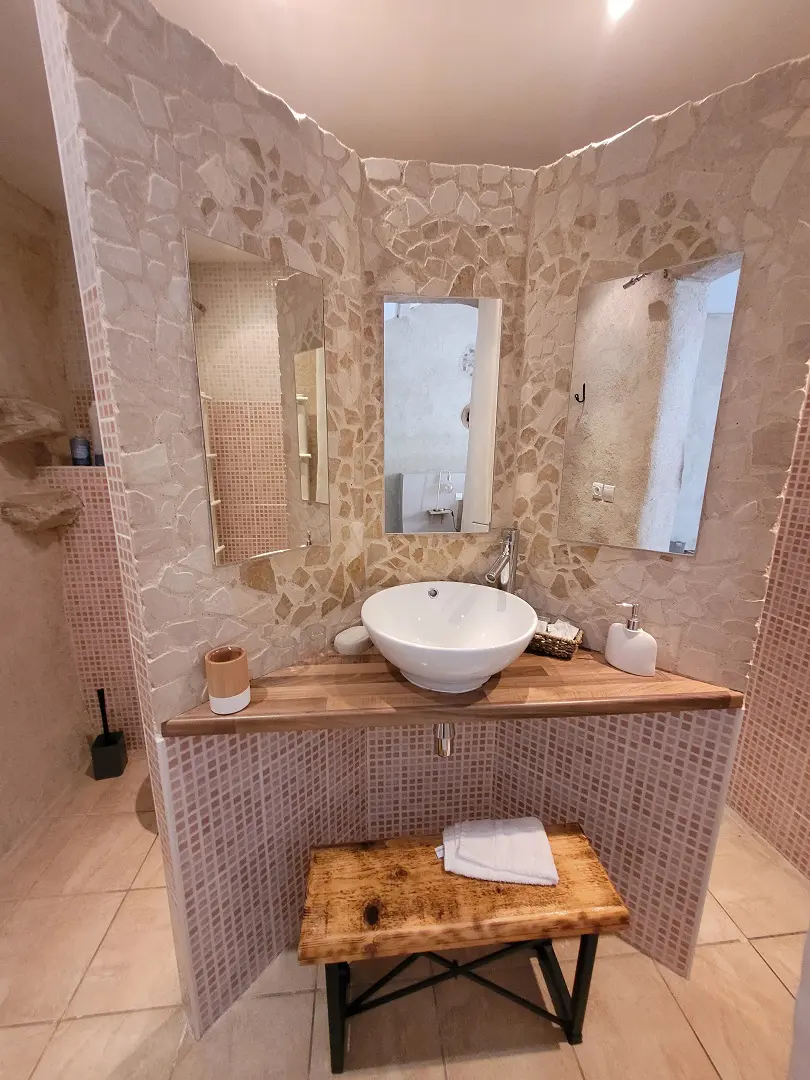 House Of 270 M² In Olargues