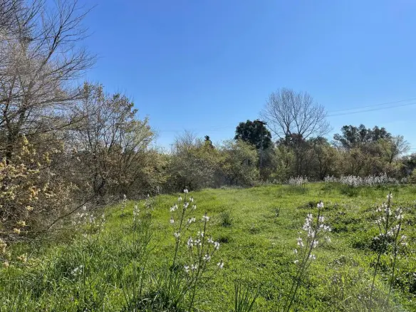 Land In Corfu, Greece