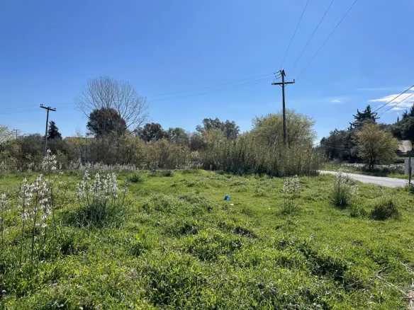 Land In Corfu, Greece