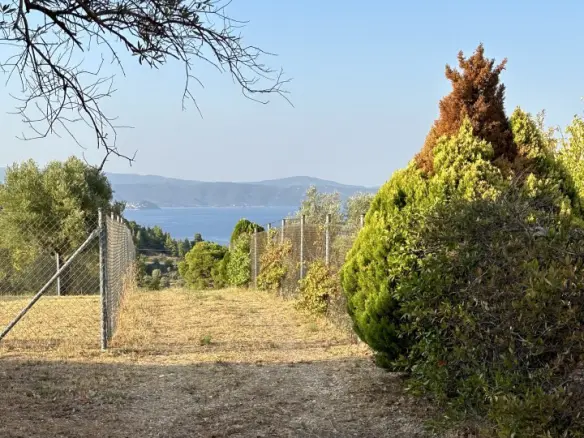 Land Of 2500 M² In Sithonia, Chalkidiki