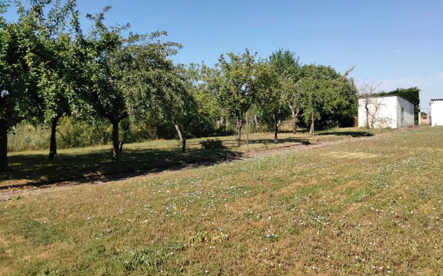 Village House Of 84 M² With Gardens, Garage, Outbuildings, 3 Bedrooms, 2 Bathrooms In Mauprevoir