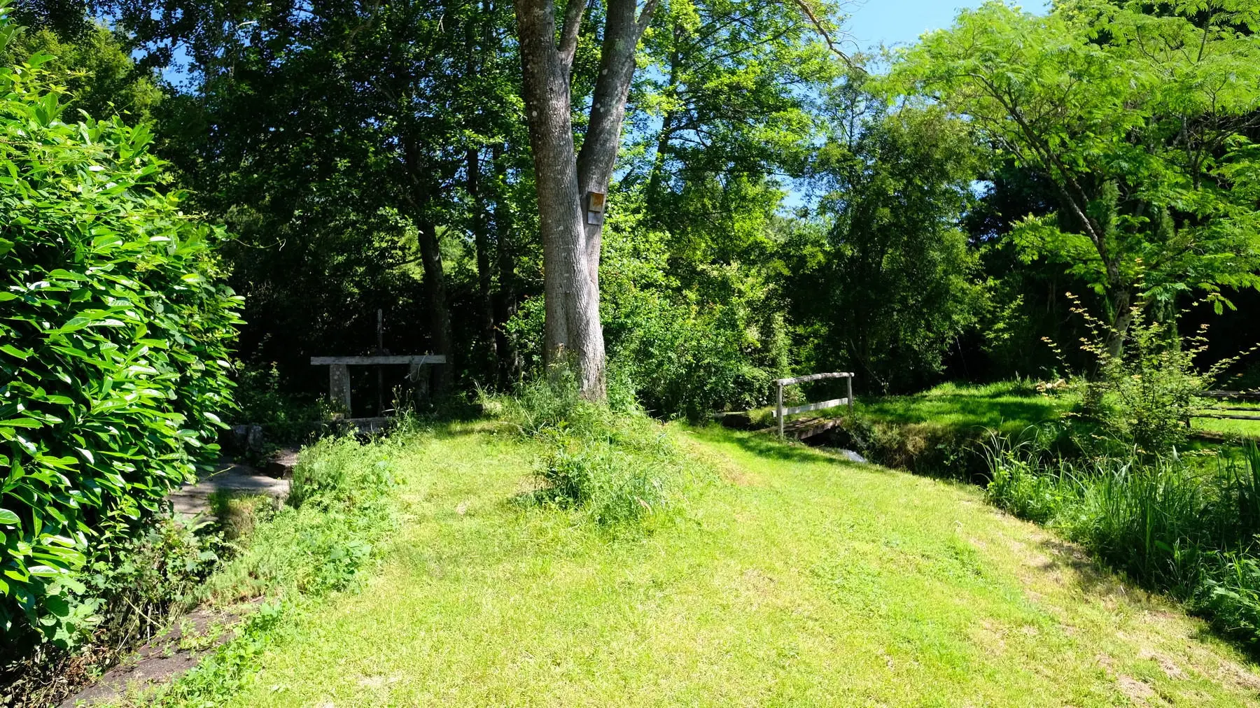 Watermill Of 80000 M² With Stream, Lake, Waterfall, Woodland, Guest House In Charente