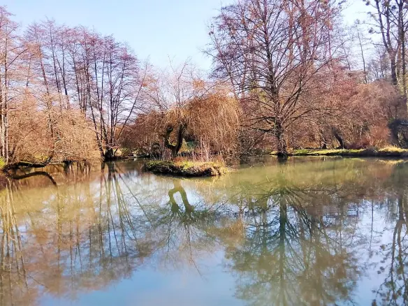 Watermill Of 80000 M² With Stream, Lake, Waterfall, Woodland, Guest House In Charente