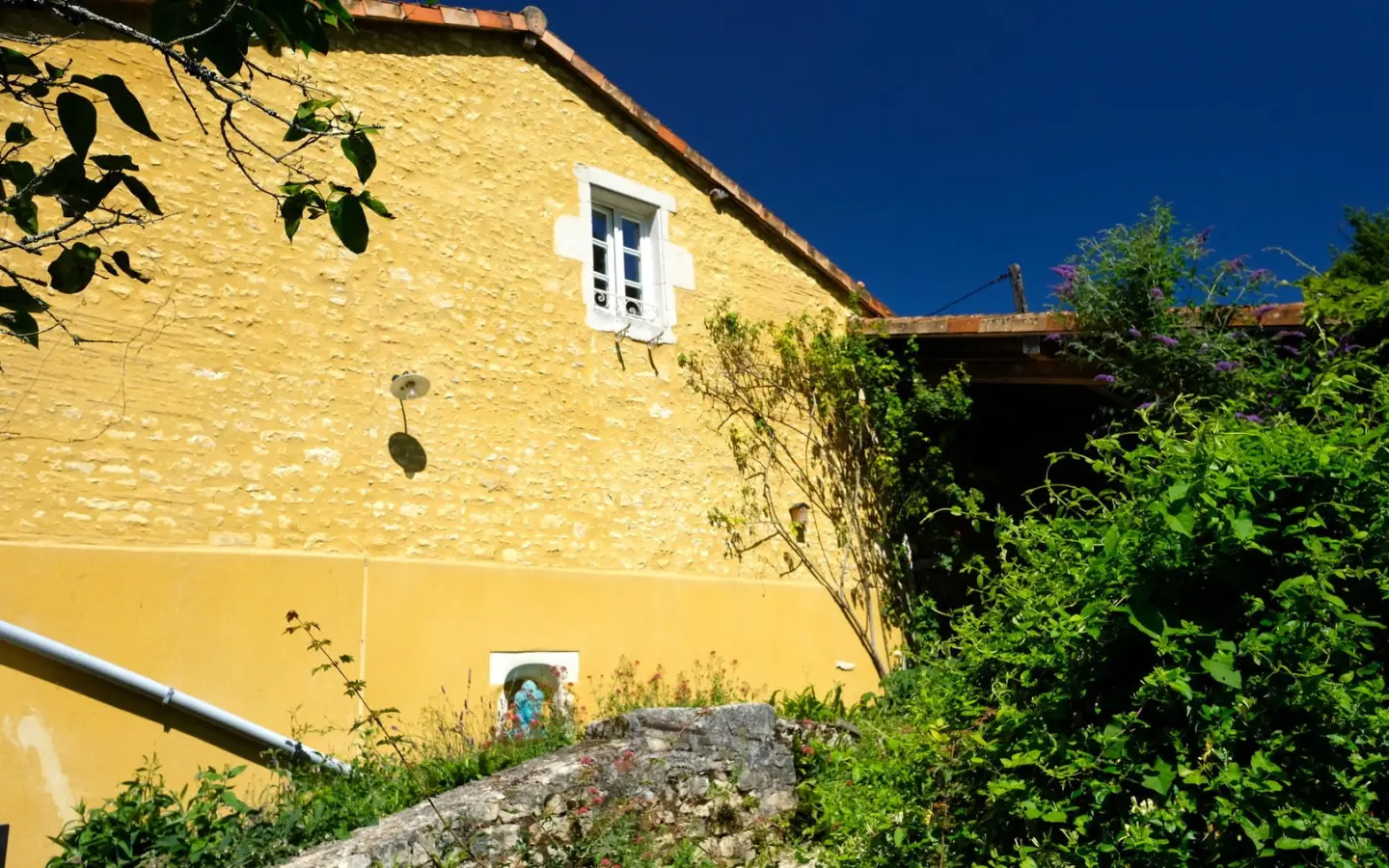 Watermill Of 80000 M² With Stream, Lake, Waterfall, Woodland, Guest House In Charente