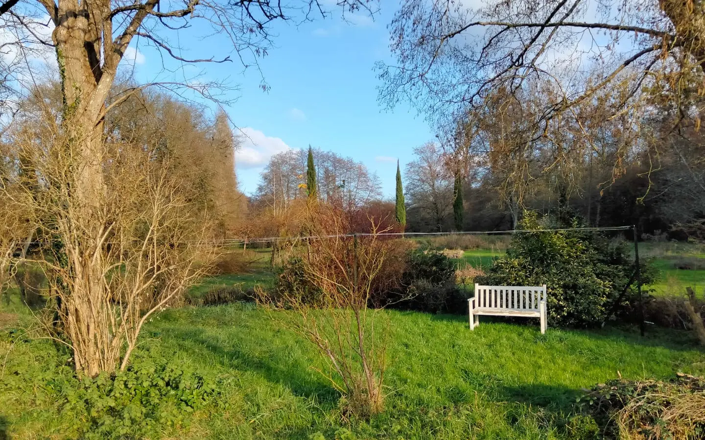 Watermill Of 80000 M² With Stream, Lake, Waterfall, Woodland, Guest House In Charente