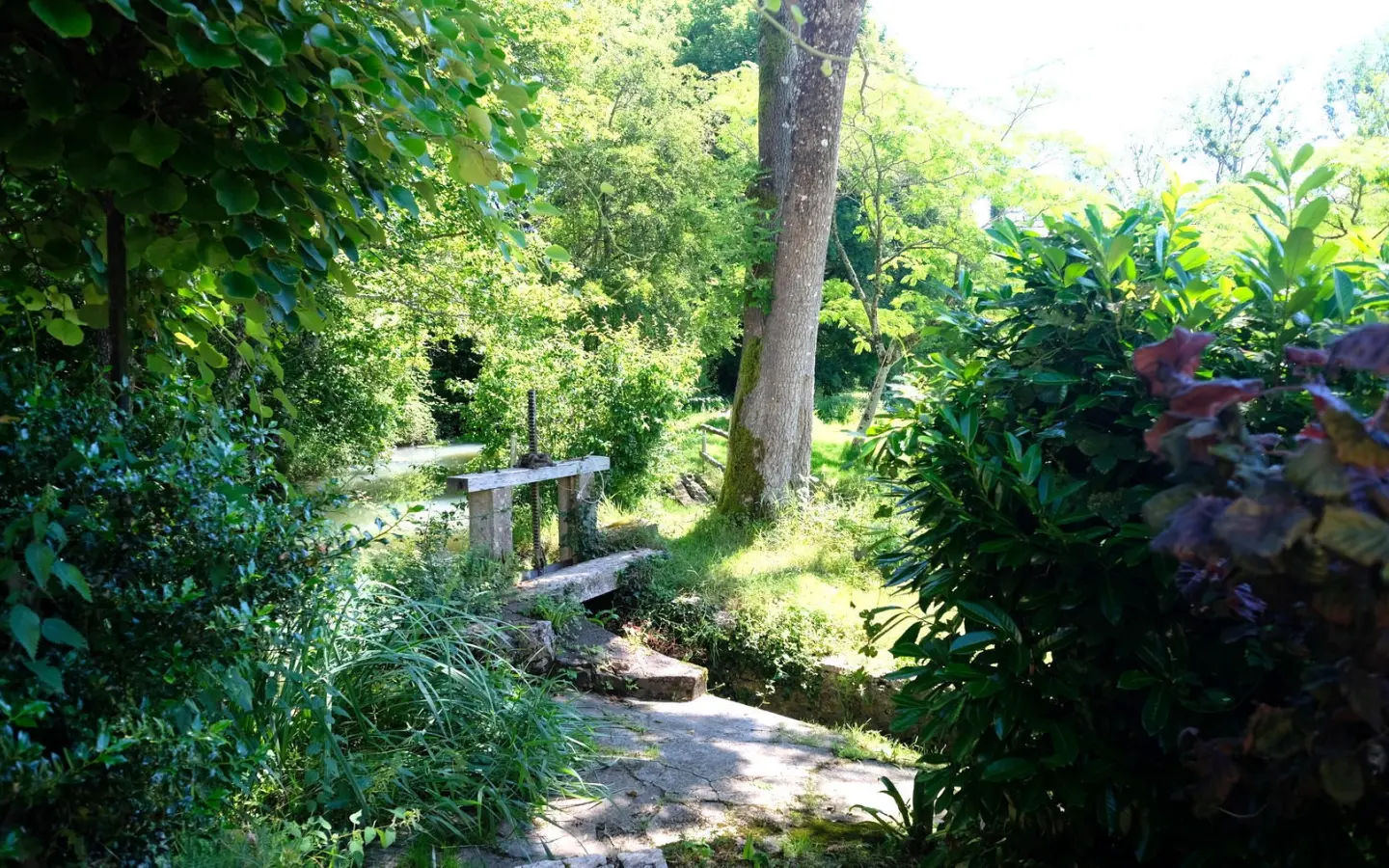 Watermill Of 80000 M² With Stream, Lake, Waterfall, Woodland, Guest House In Charente