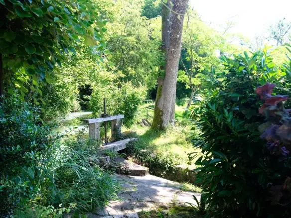 Watermill Of 80000 M² With Stream, Lake, Waterfall, Woodland, Guest House In Charente