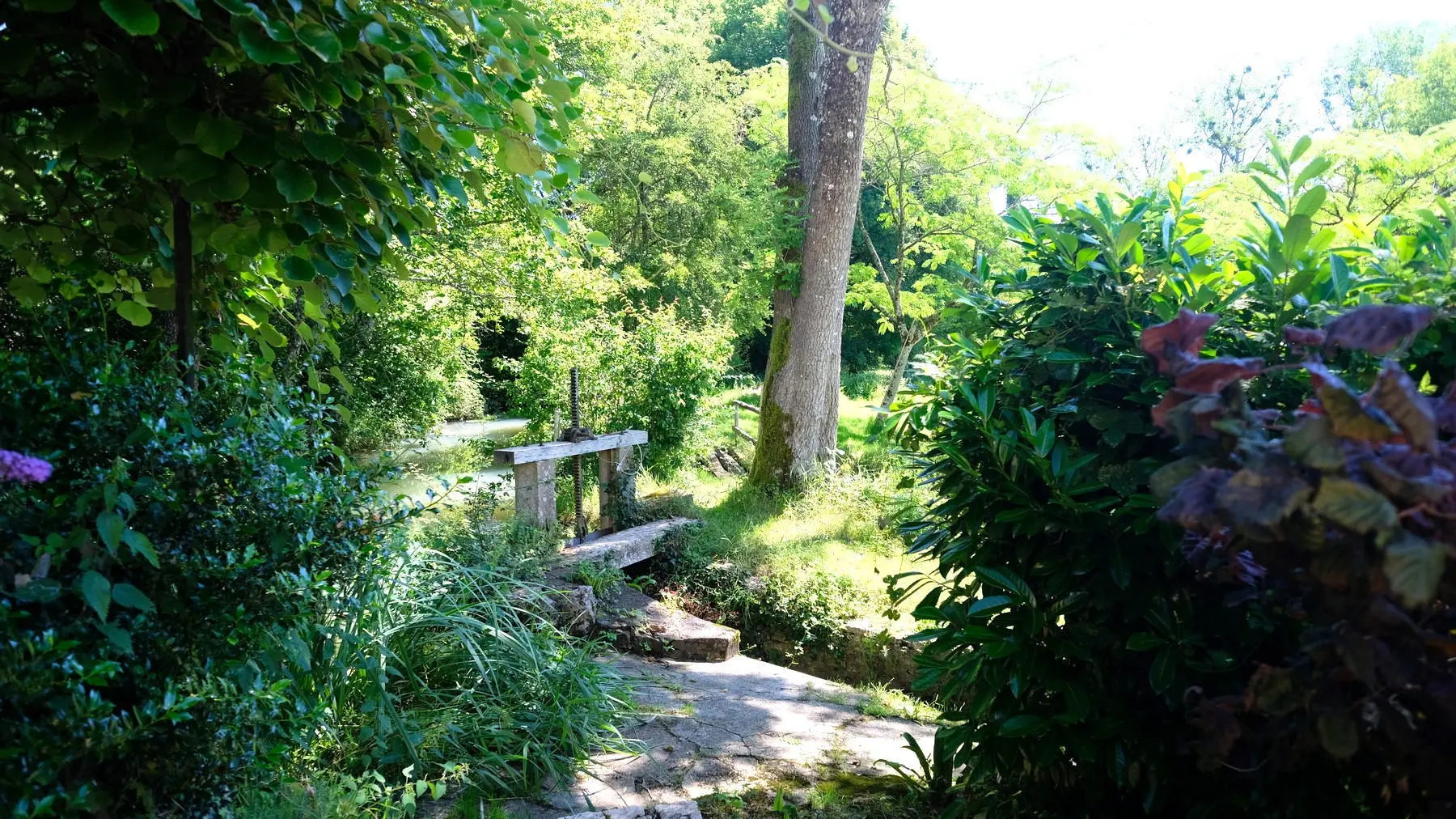 Watermill Of 80000 M² With Stream, Lake, Waterfall, Woodland, Guest House In Charente