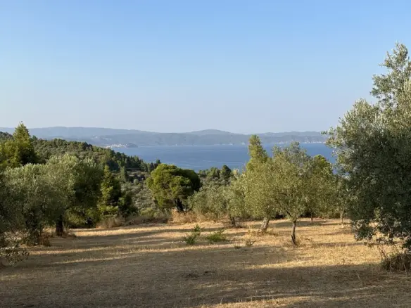 Land Of 2500 M² In Sithonia, Chalkidiki