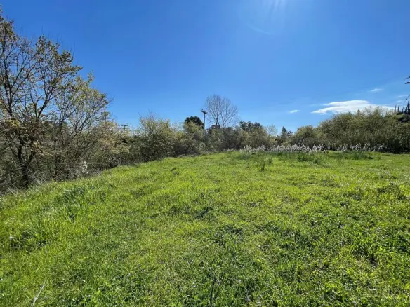 Land In Corfu, Greece