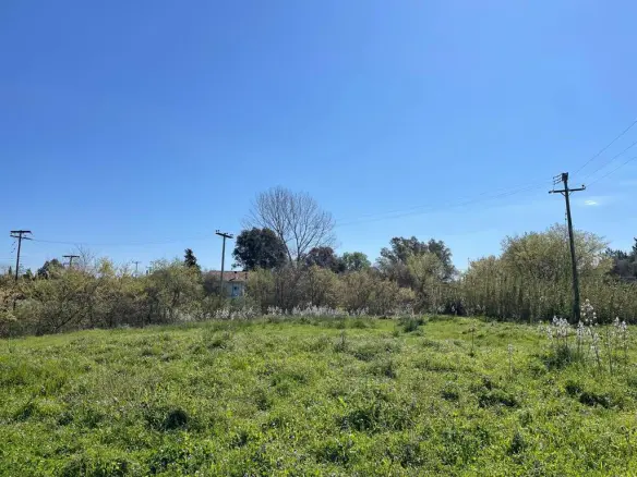 Land In Corfu, Greece