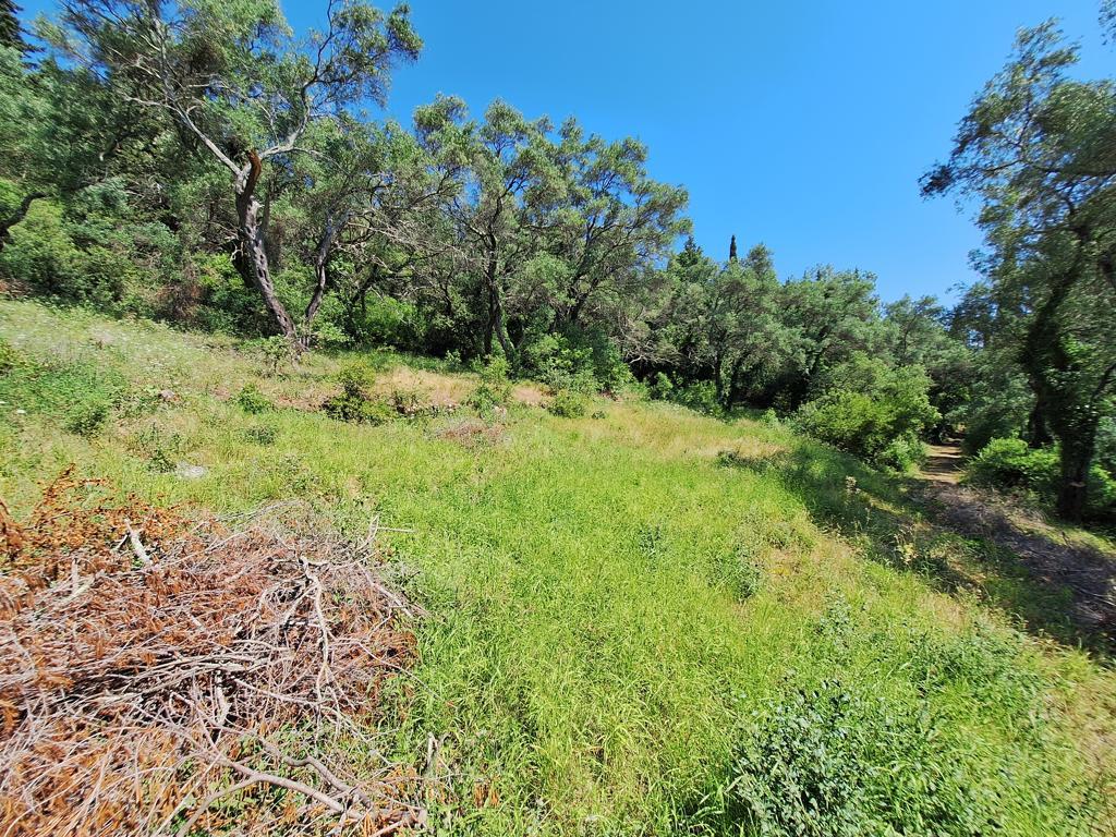 Land Of 7000 M² In Corfu