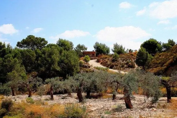 Country House Of 284 M² In Murcia, Spain