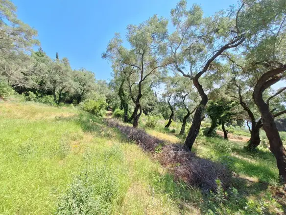 Land In Corfu, Greece