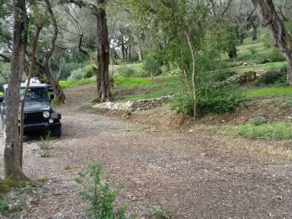Land In Corfu, Greece