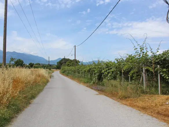 Commercial Property In Katerini, Greece (120 M²)