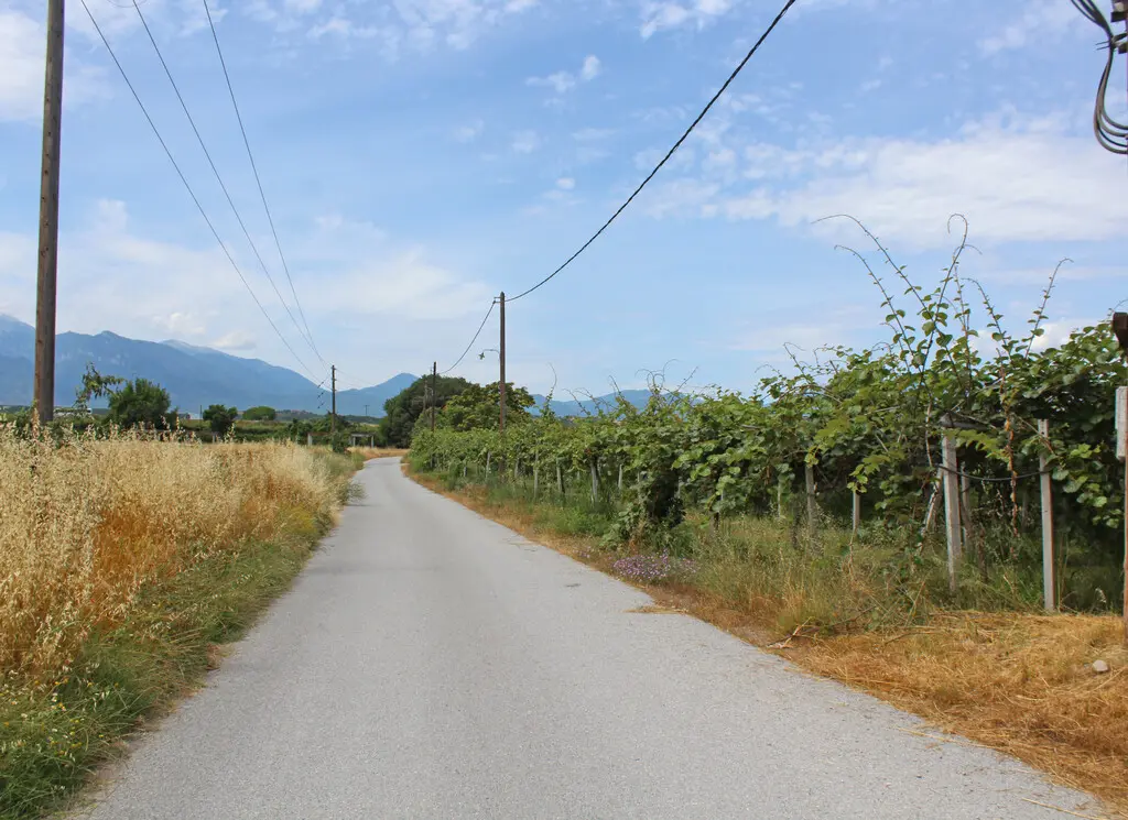 Commercial Property Of 120 M² On The Olympic Coast