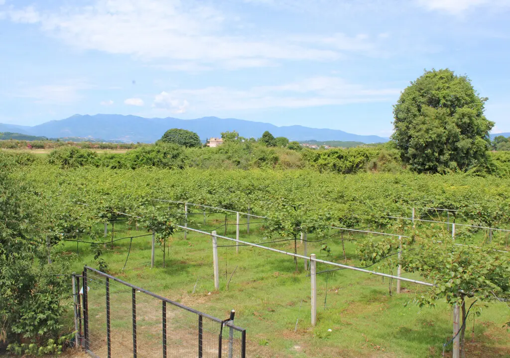 Commercial Property Of 120 M² On The Olympic Coast