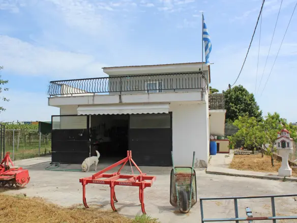 Commercial Property In Katerini, Greece (120 M²)