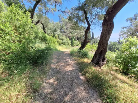Land In Corfu, Greece