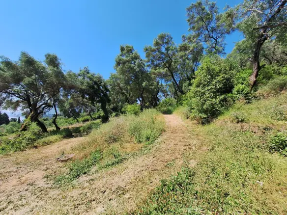 Land In Corfu, Greece