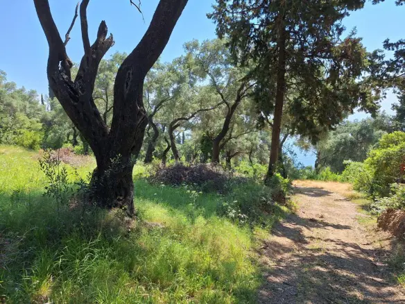 Land In Corfu, Greece