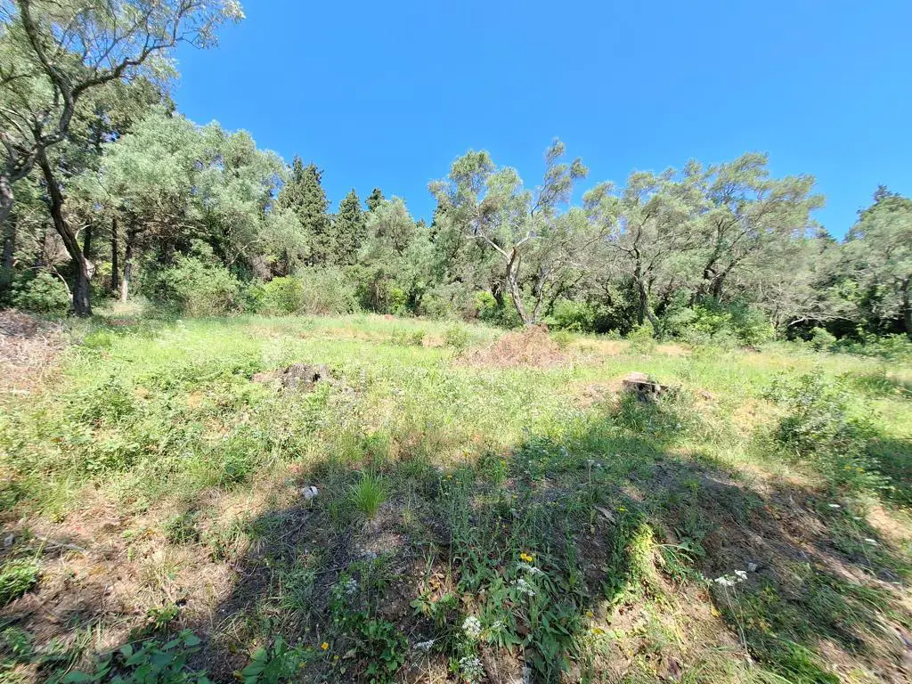 Land Of 7000 M² In Corfu