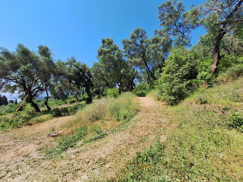 Land Of 7000 M² In Corfu