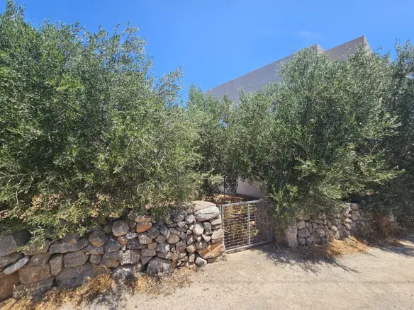 Land Of 251 M² In Crete