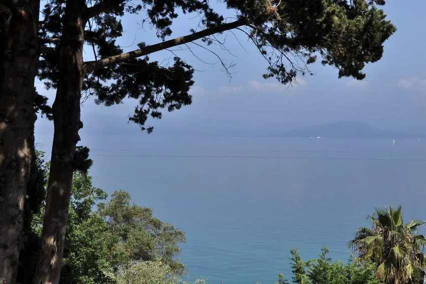 Land Of 7000 M² In Corfu