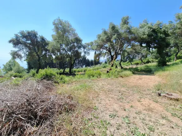 Land In Corfu, Greece