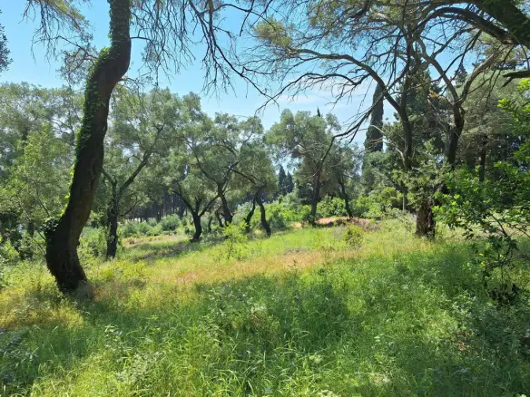 Land In Corfu, Greece