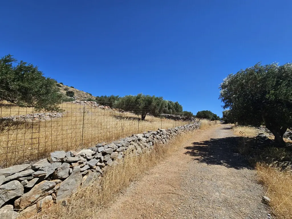 Land Of 4510 M² In Crete