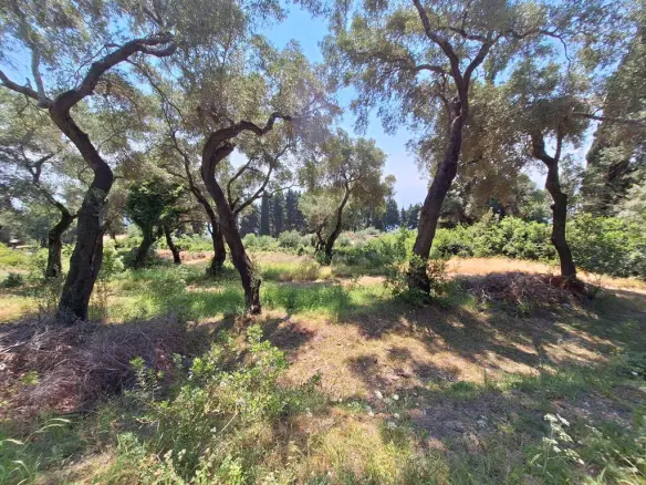 Land In Corfu, Greece
