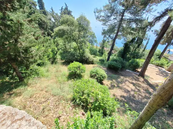 Land In Corfu, Greece