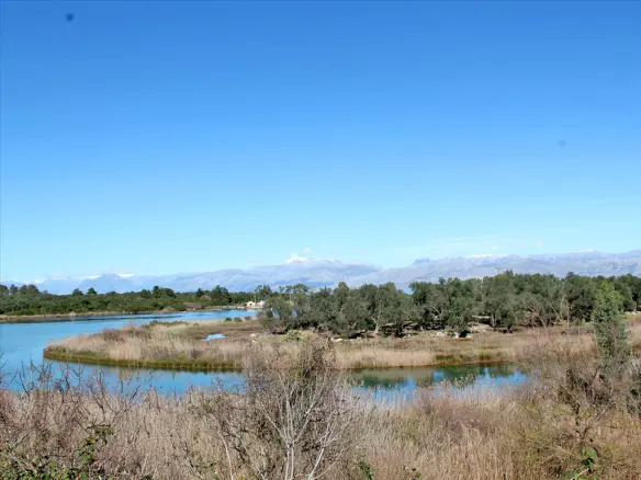 Land Of 16000 M² In Corfu