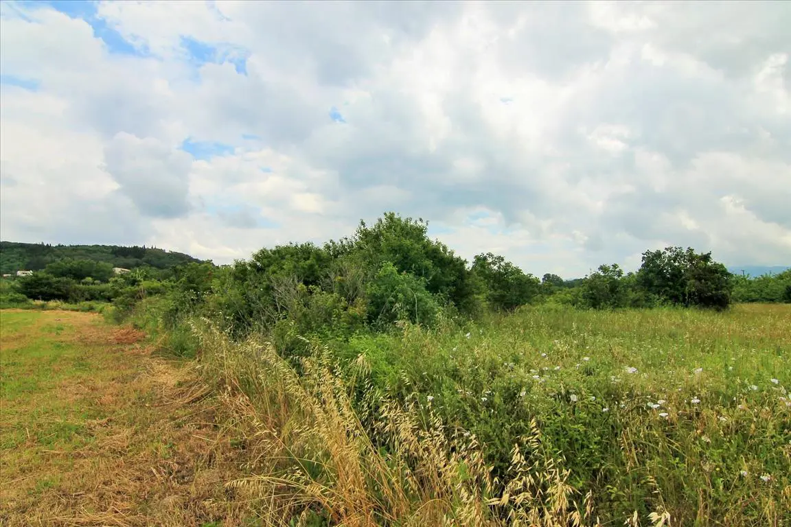 Land Of 2300 M² In Corfu