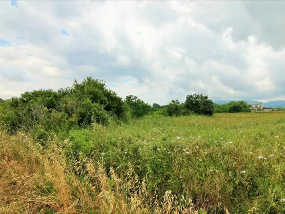 Land In Corfu, Greece
