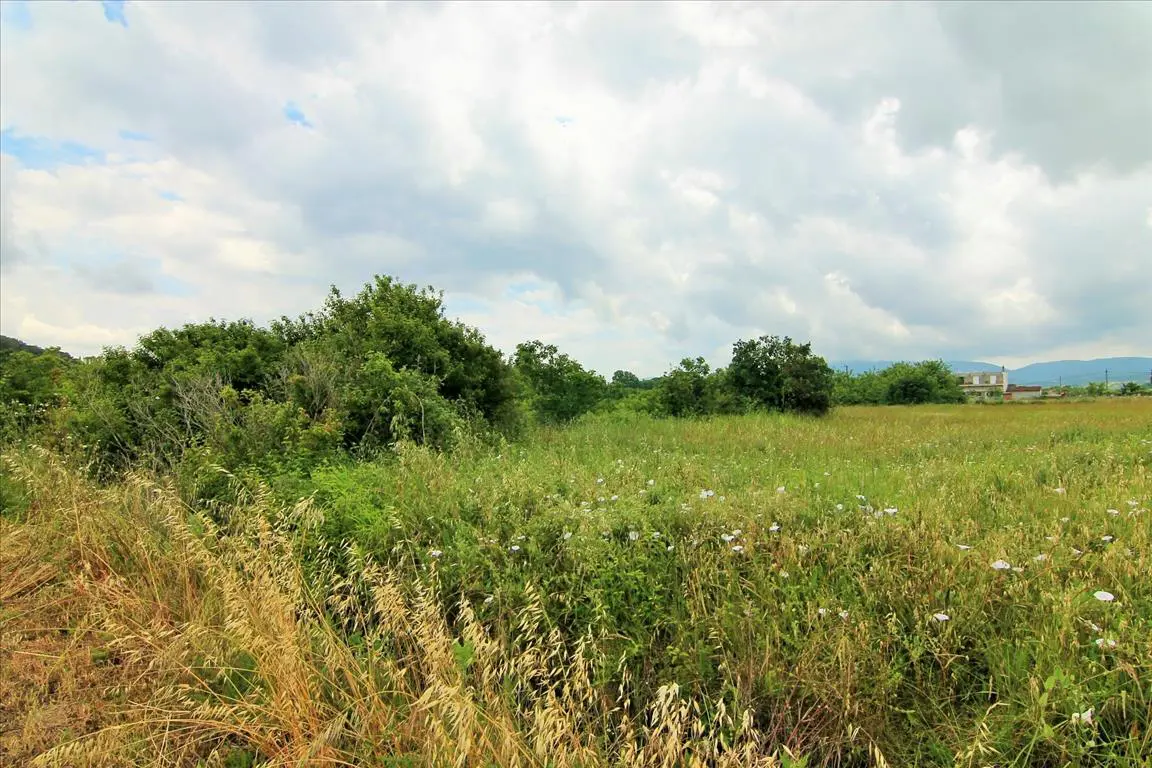 Land Of 2300 M² In Corfu