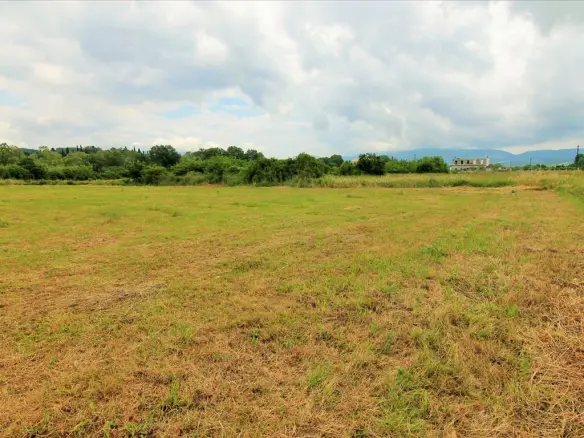 Land In Corfu, Greece
