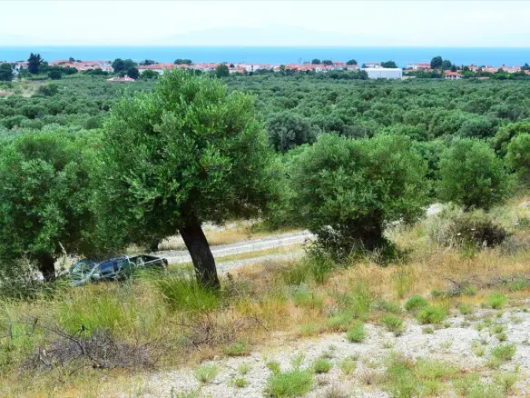 Land Of 5175 M² In Kassandra, Chalkidiki
