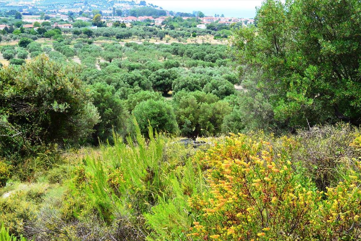 Land Of 5175 M² In Kassandra, Chalkidiki