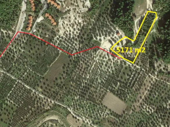 Land In Kassandra, Greece (5.171 M²)
